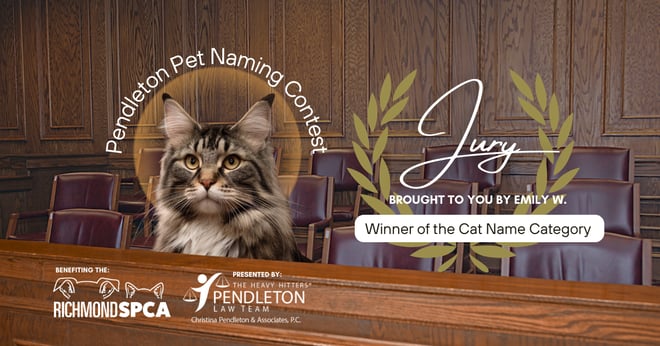 2025 - PET NAMING CONTEST WINNER - CAT