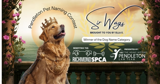 2025 - PET NAMING CONTEST WINNER - DOG